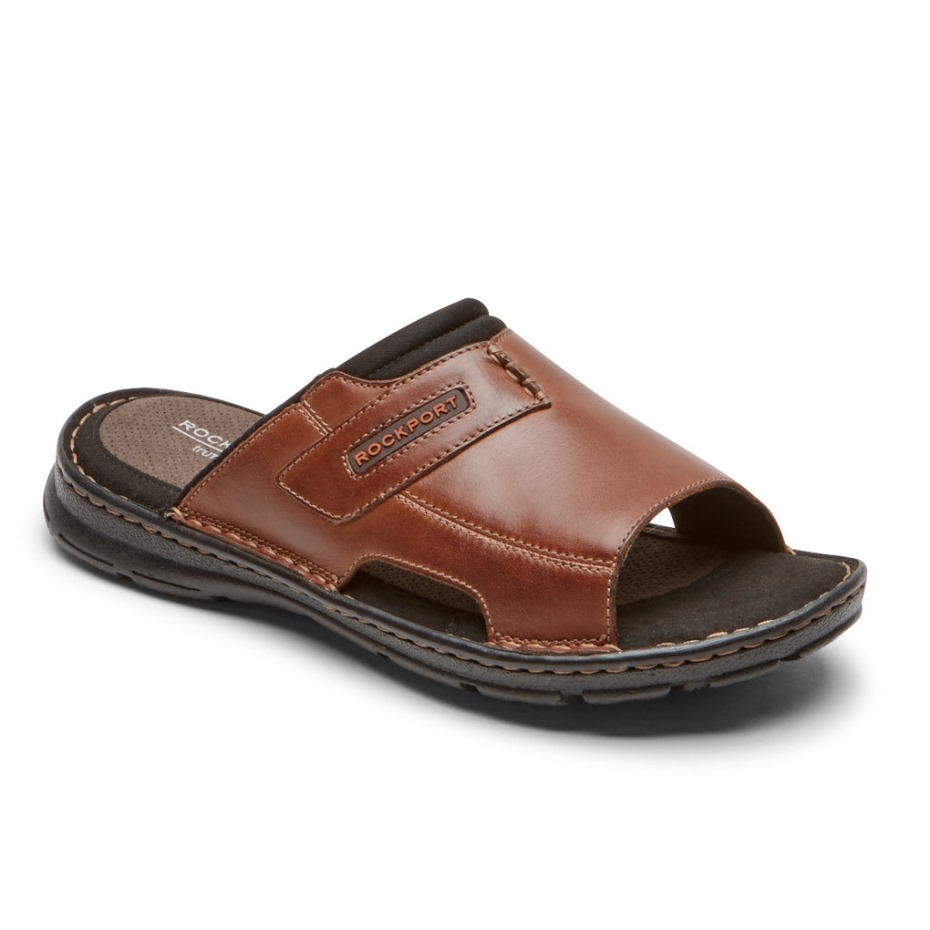 Rockport Men's Darwyn 2 Slide Sandal Entrenador Marrón